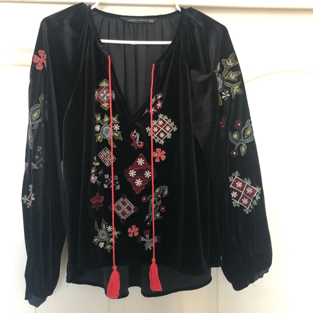 Zara Velvet Embroidered Blouse